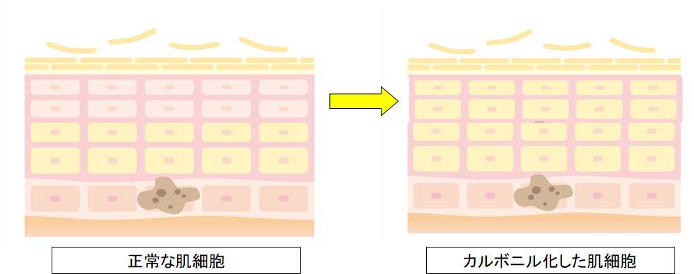カルボニル化の仕組み