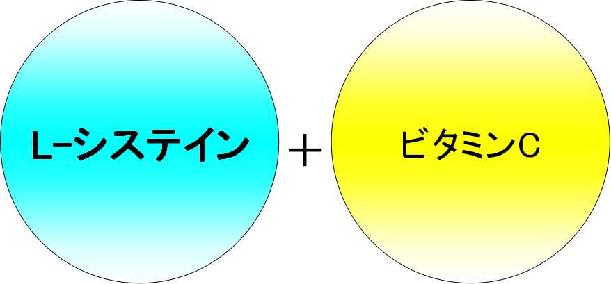 Ｌ－システインとビタミンＣ