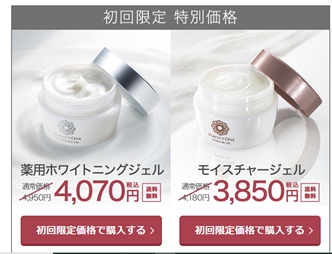 パーフェクトワンの説明