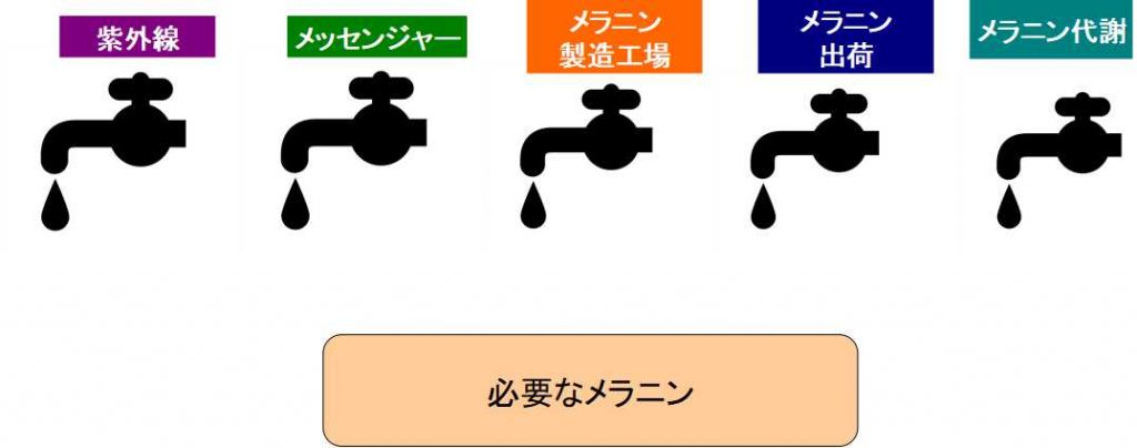 メラニン生成工程の５つの蛇口理論