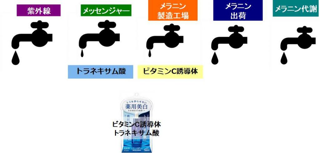 『肌美精』薬用美白美容液の蛇口理論