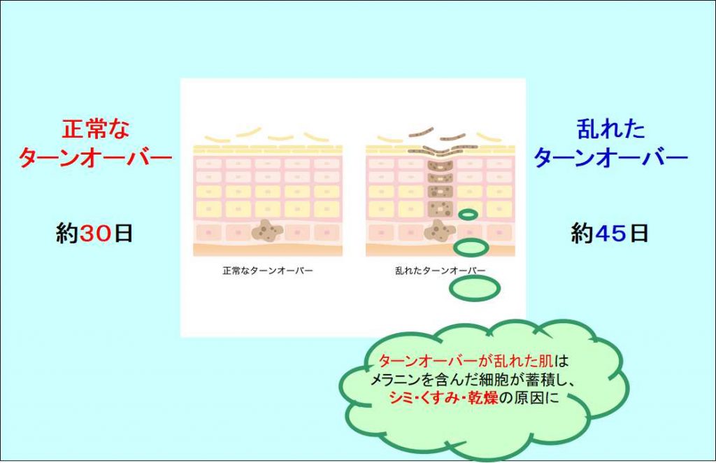 ターンオーバー