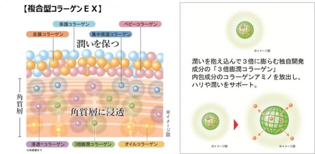 3倍膨潤コラーゲン