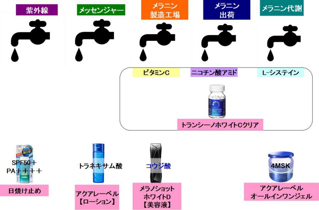 トランシーノホワイトCクリアの使いこなし方
