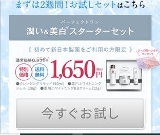 パーフェクトワン　スターターセット