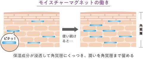 モイスチャーマグネット