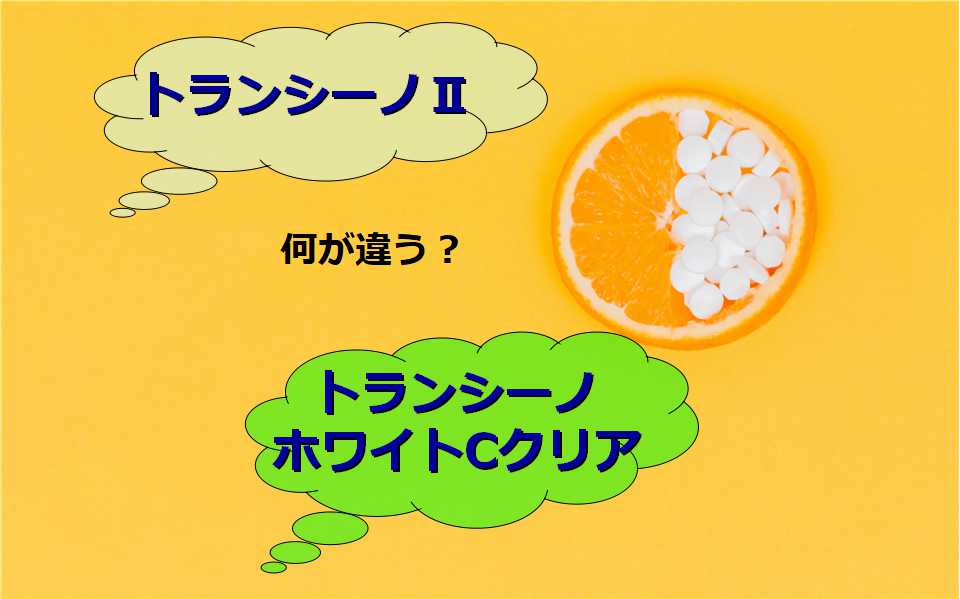 ２つのトランシーノ違い