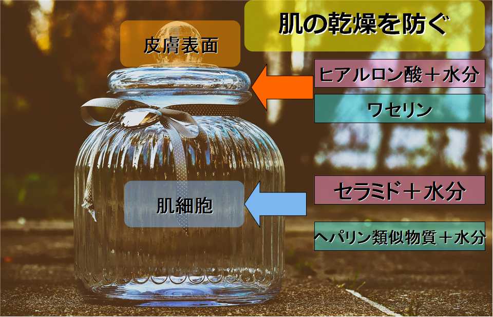 保湿の理論