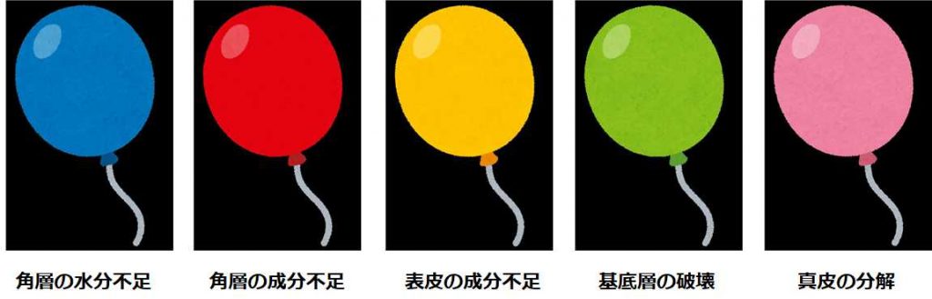 真皮シワへの対策