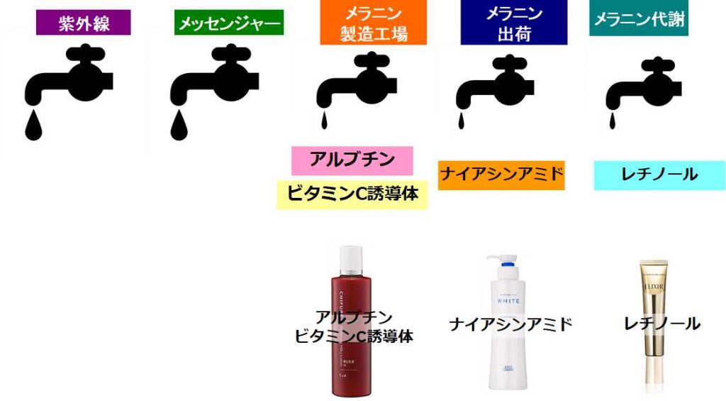 ナイアシンアミド・レチノール併用