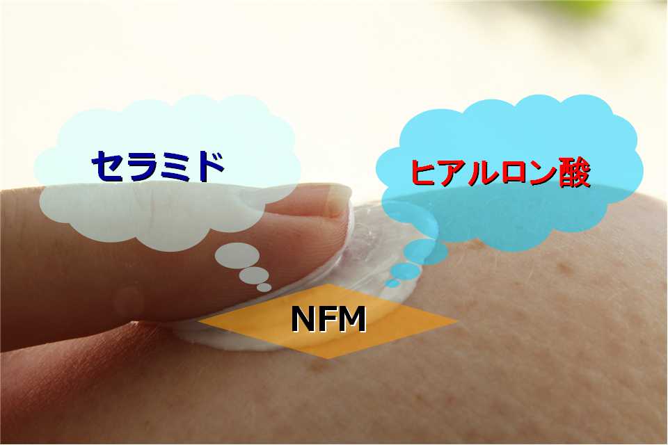 セラミド＆ヒアルロン酸