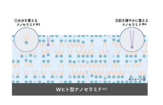 Wヒト型セラミド