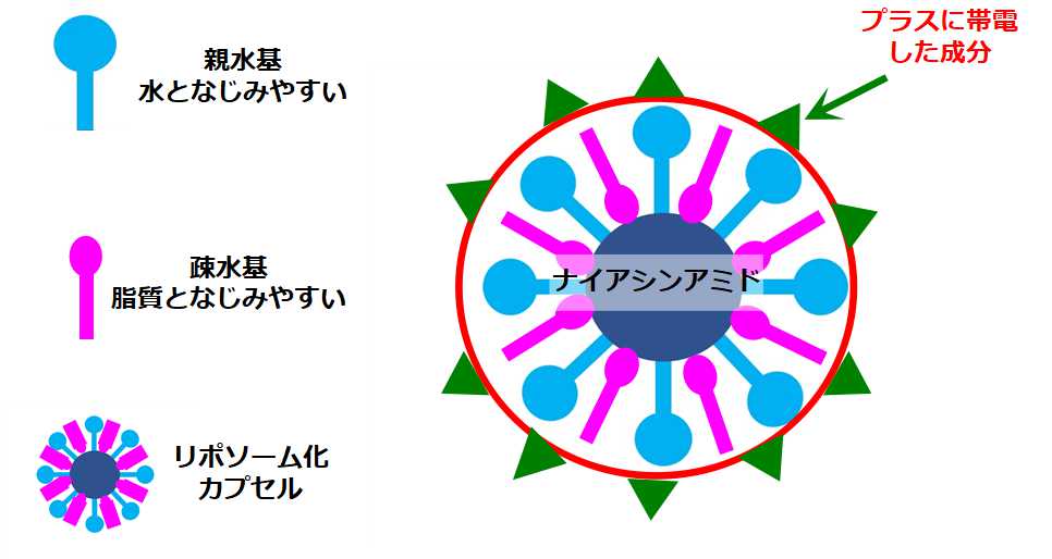 イオンカプセル化技術の図解