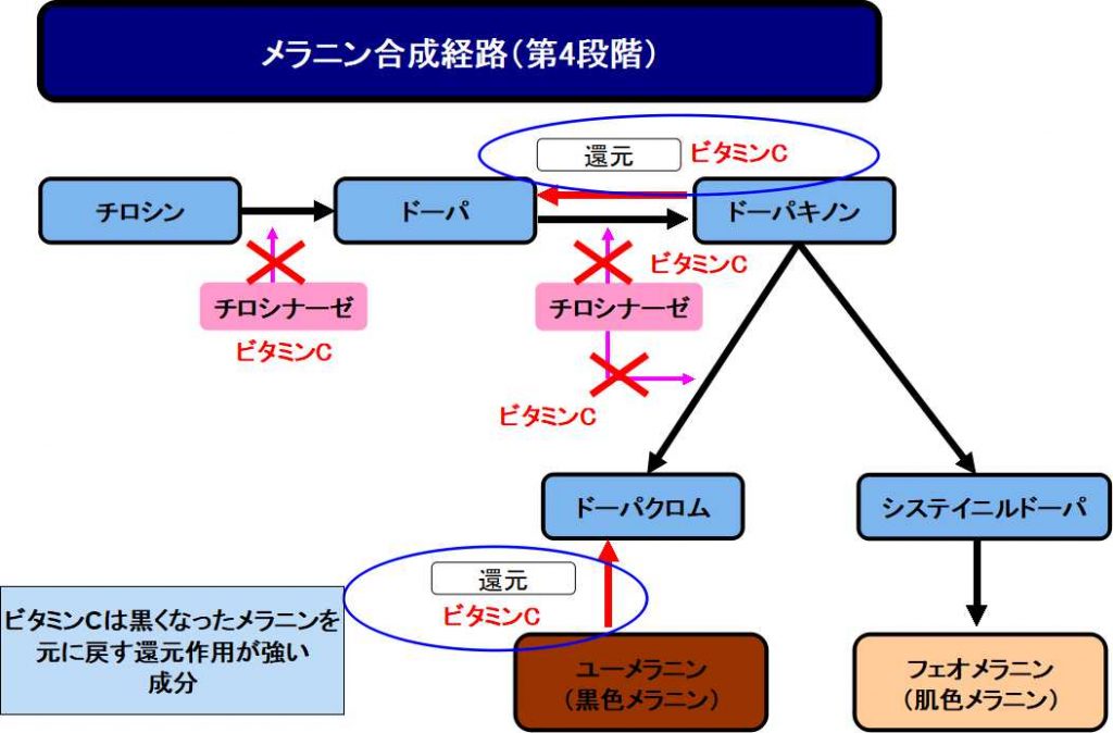 ビタミンC誘導体