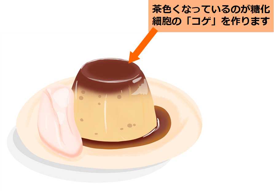 糖化のイメージ図