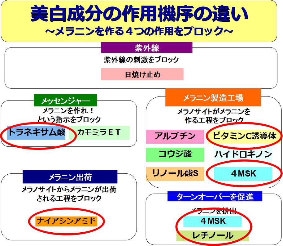 モイスチュアマイルド使いこなし㊙テク