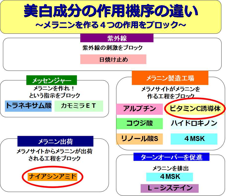 モイスチュアマイルド作用機序