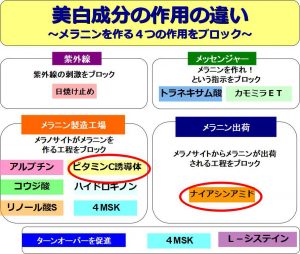 美白成分作用機序に違い