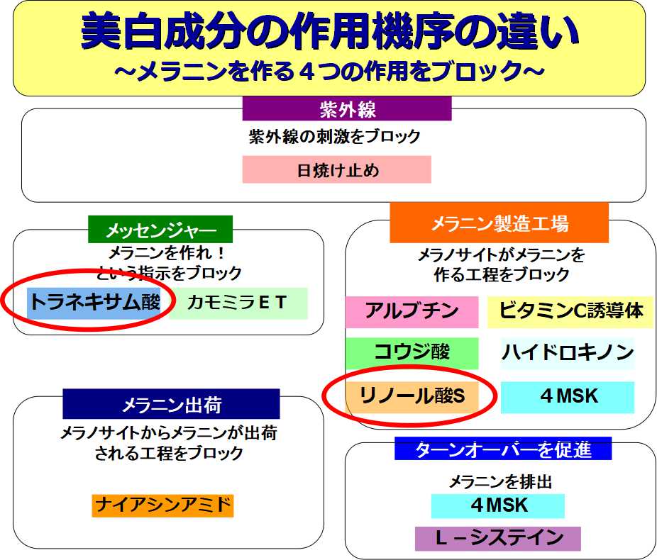 エクイタンス美白成分の作用機序の違い