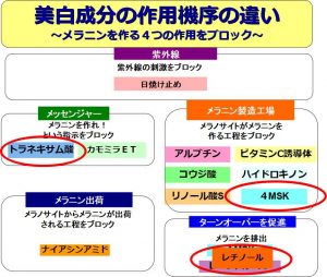 スポットクリアセラムWT美白の作用機序