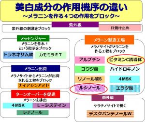 ホワイトショットCXS作用機序