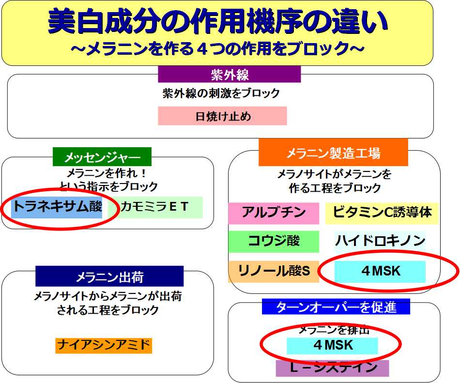 エリクシール作用機序の違い