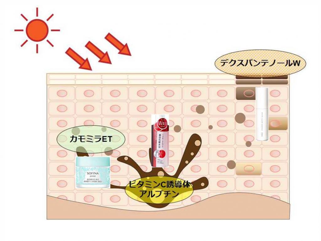 ソフィーナジェンヌ使いこなし㊙テク２