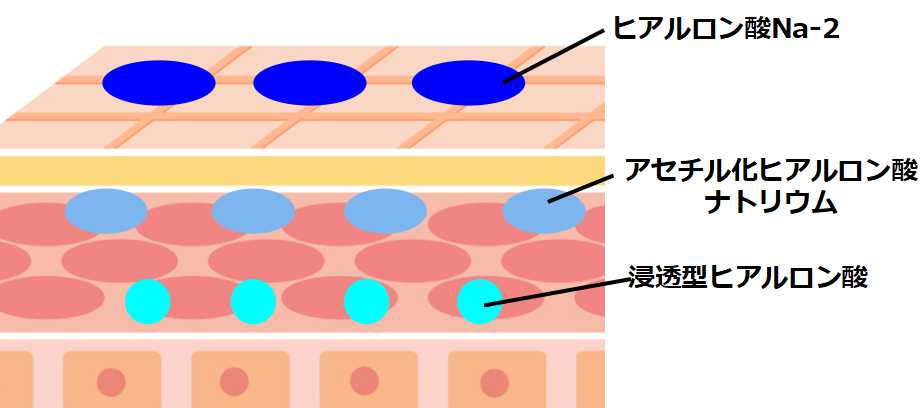 浸透ヒアルロン酸