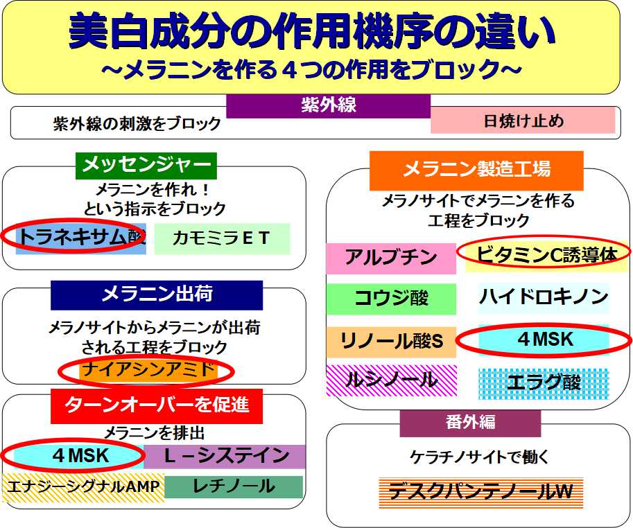 作用機序の違い