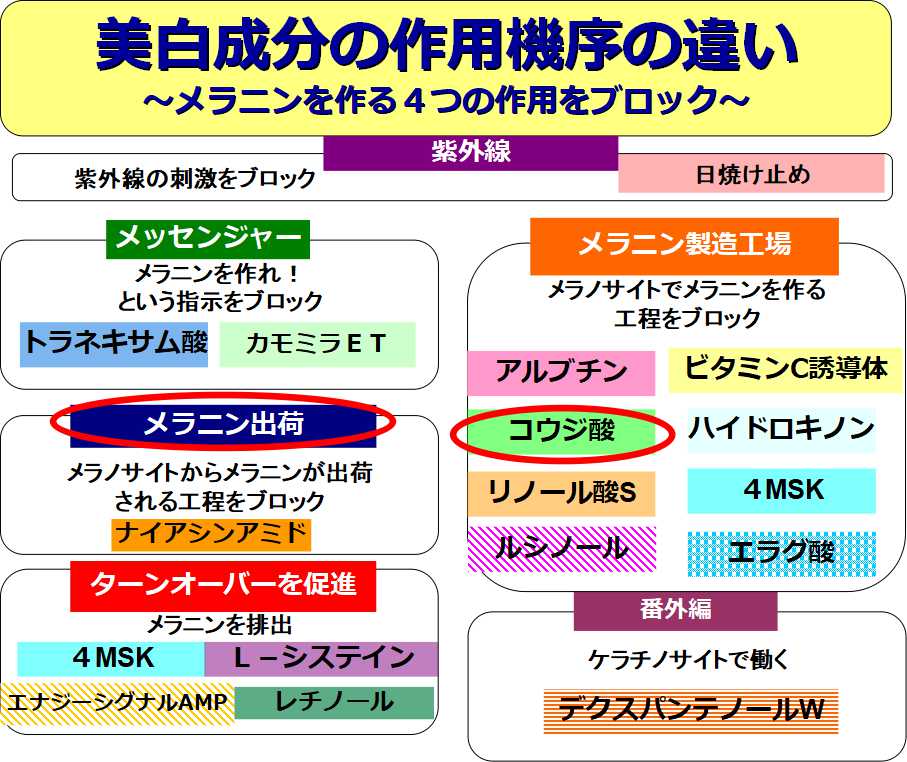 ホワイトロジスト ブライト コンセントレイト