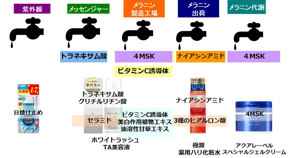 化粧水使いこなし㊙テク