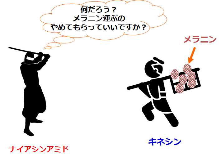 ナイアシンアミド