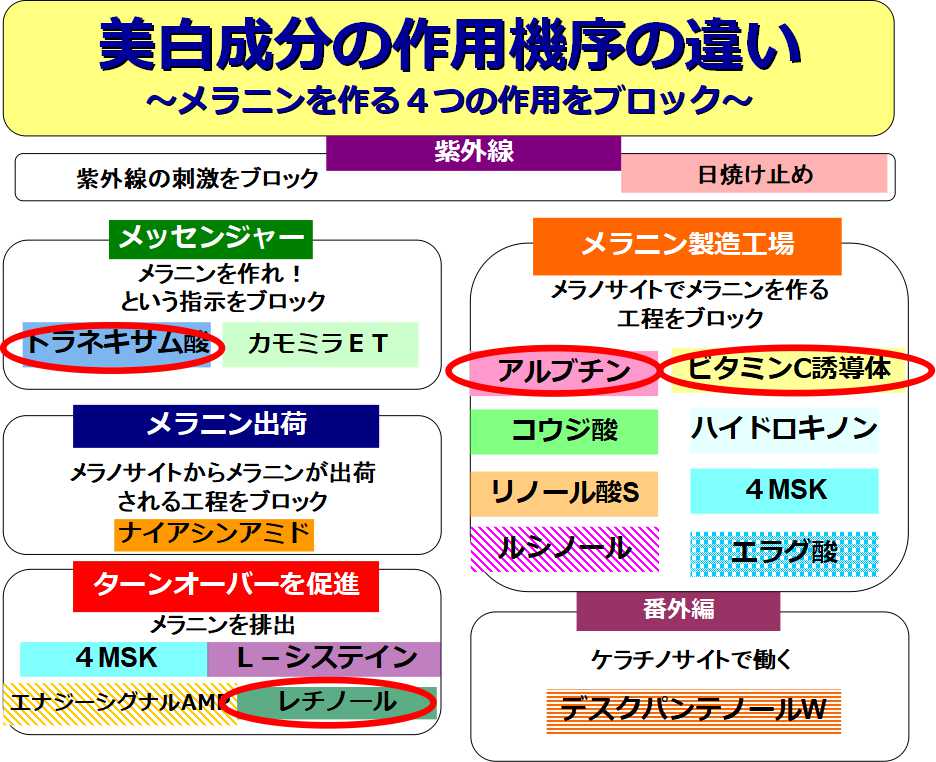 作用機序の違い