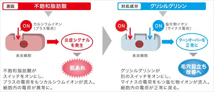 グリシルグリシンの働き