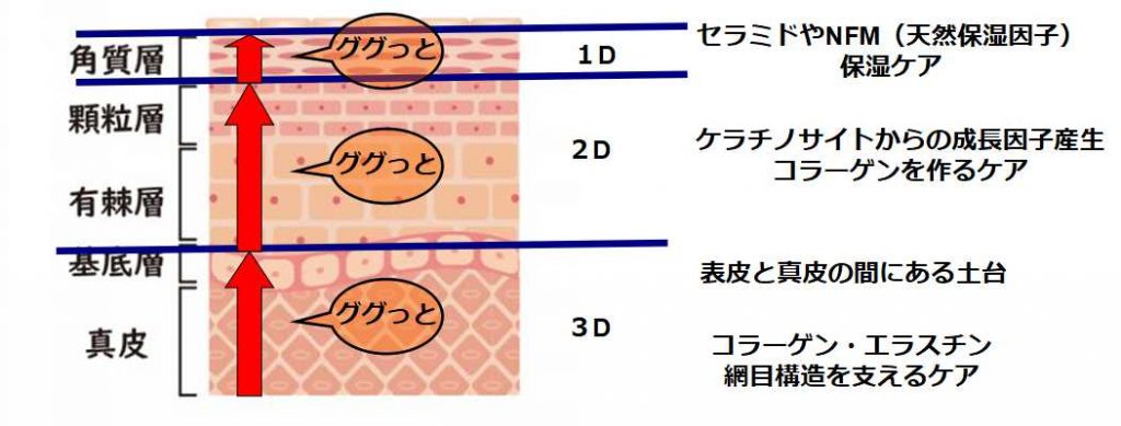 下からググっと理論