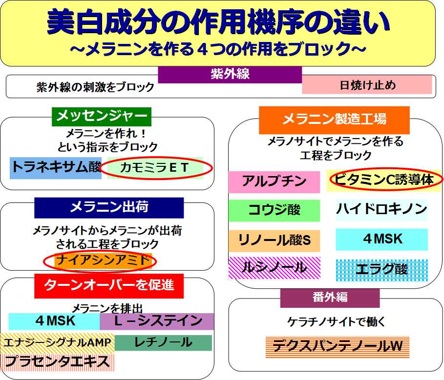 美白の作用機序の違い