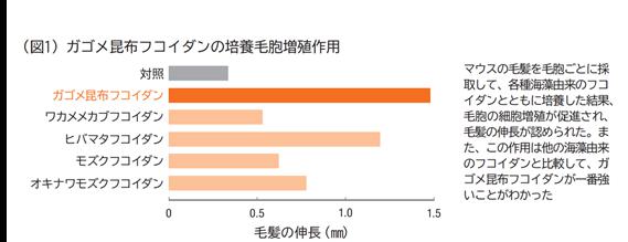 ガゴメエキス育毛評価