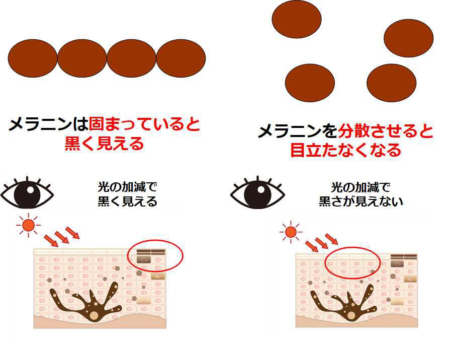 デスクパンテノールWの作用