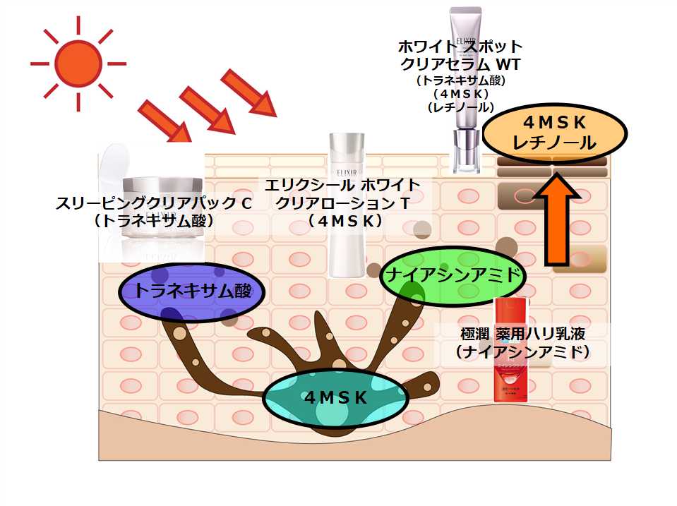 夏のエリクシール（夜）