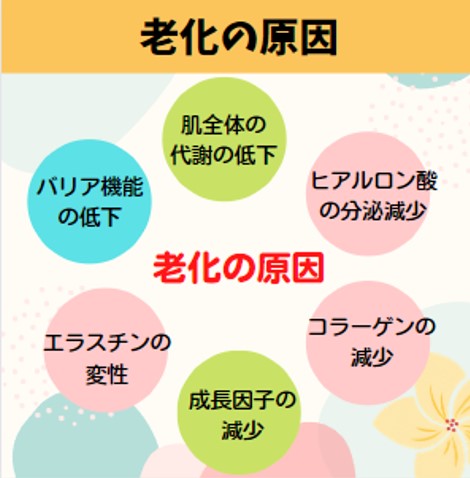 エイジングケアアプローチ方法